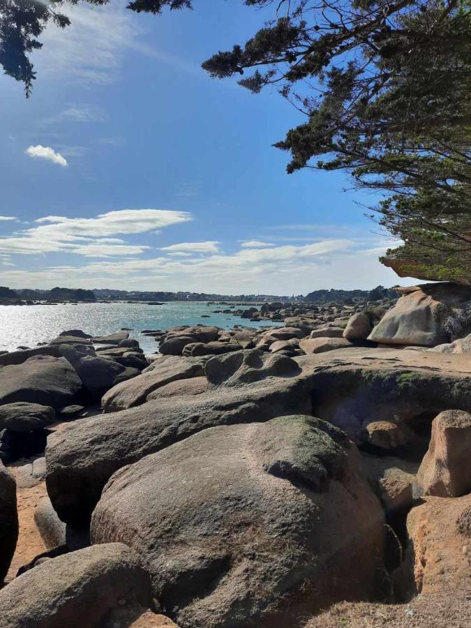 appartement vue mer 50m de la plage, WIFI gratuit Perros-Guirec Extérieur photo